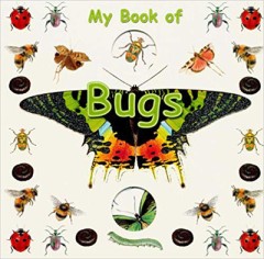 My Book Of Bugs - Waleri Davies