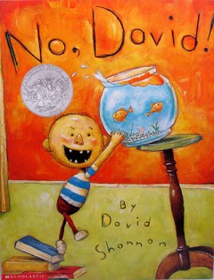 No, David! - David Shannon