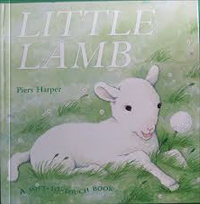 Little Lamb